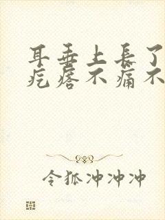 耳垂上长了个硬疙瘩不痛不痒