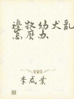 边牧幼犬乱拉屎怎么办