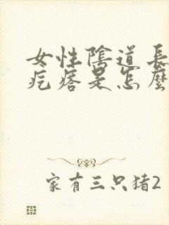 女性阴道长小肉疙瘩是怎么回事