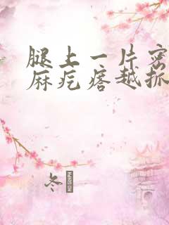 腿上一片密密麻麻疙瘩越抓越痒