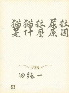 猫猫拉尿拉出血是什么原因