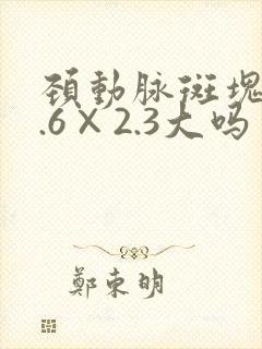 颈动脉斑块13.6×2.3大吗