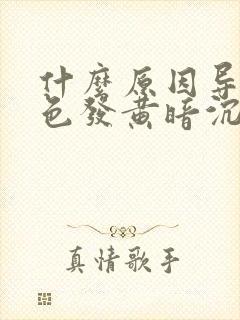 什么原因导致脸色发黄暗沉