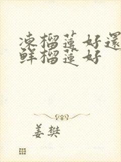 冻榴莲好还是新鲜榴莲好