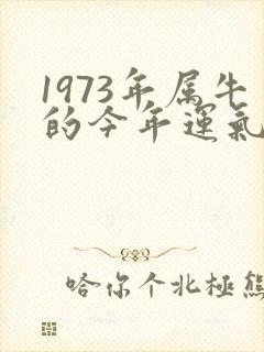 1973年属牛的今年运气怎么样