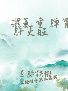 湿气重 脾胃虚 肝火旺