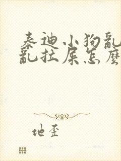 泰迪小狗乱撒尿乱拉屎怎么办