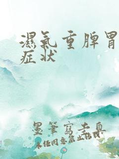 湿气重脾胃不和症状