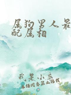 属狗男人最佳婚配属相