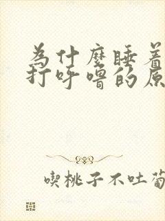 为什么睡着后会打呼噜的原因