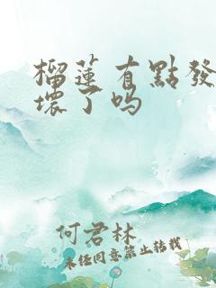 榴莲有点发酸是坏了吗