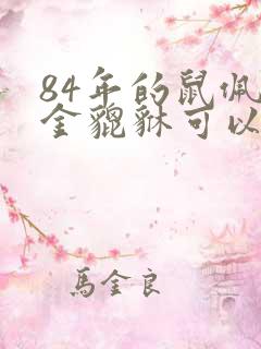 84年的鼠佩戴金貔貅可以吗