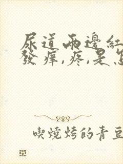 尿道两边红肿,发痒,疼,是怎么回事