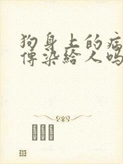 狗身上的病毒会传染给人吗