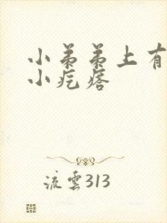 小弟弟上有两个小疙瘩