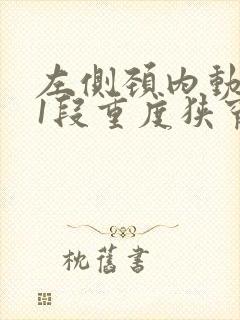 左侧颈内动脉c1段重度狭窄