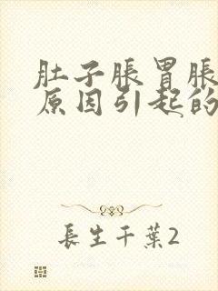 肚子胀胃胀什么原因引起的