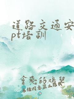 道路交通安全ppt培训