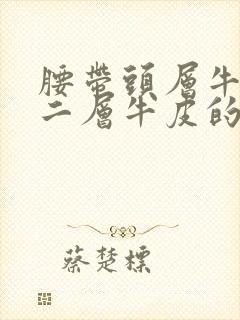 腰带头层牛皮和二层牛皮的区别