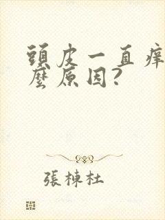 头皮一直痒是什么原因?