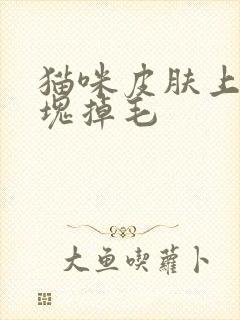 猫咪皮肤上有大块掉毛