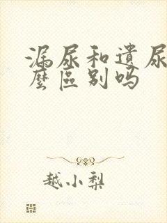 漏尿和遗尿有什么区别吗