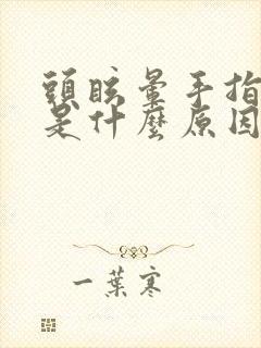 头眩晕手指发麻是什么原因