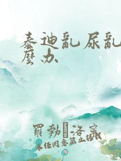 泰迪乱尿乱拉怎么办