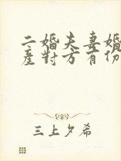 二婚夫妻婚前财产对方有份吗