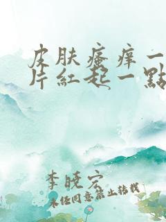 皮肤瘙痒一抓一片红起一点小疙瘩