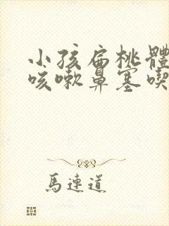 小孩扁桃体发炎咳嗽鼻塞吃什么药