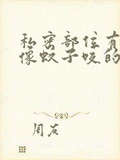 私密部位有疙瘩像蚊子咬的一样