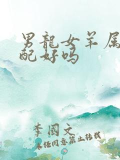 男龙女羊属相婚配好吗