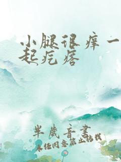 小腿很痒一抓就起疙瘩