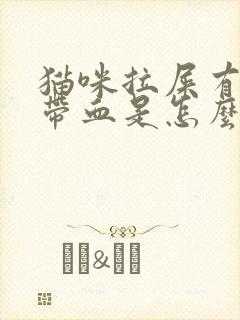 猫咪拉屎有粘液带血是怎么回事