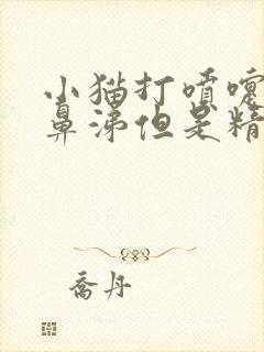 小猫打喷嚏不流鼻涕但是精神好