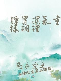 脾胃湿气重应怎样调理