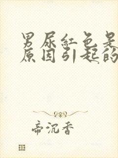 男尿红色是什么原因引起的