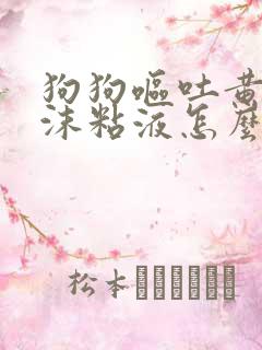 狗狗呕吐黄水泡沫粘液怎么办