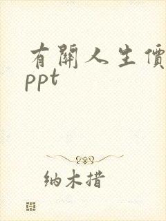 有关人生价值的ppt