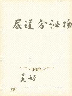 尿道分泌物流出