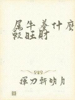 属牛养什么狗比较旺财