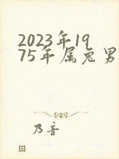 2023年1975年属兔男运程