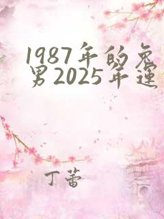1987年的兔男2025年运势