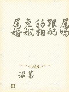 属兔的跟属牛的婚姻相配吗