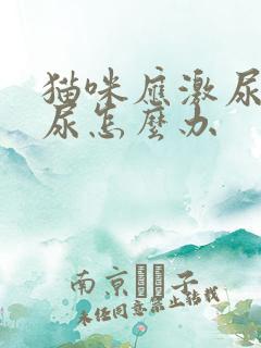 猫咪应激尿不出尿怎么办