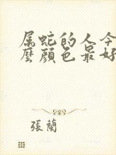 属蛇的人今年什么颜色最好