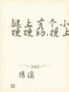 腿上有个小疙瘩硬硬的,摸上去就疼