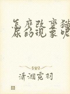 怎么改变猫咪乱尿的现象呢