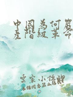 中国为何严禁无产阶级革命